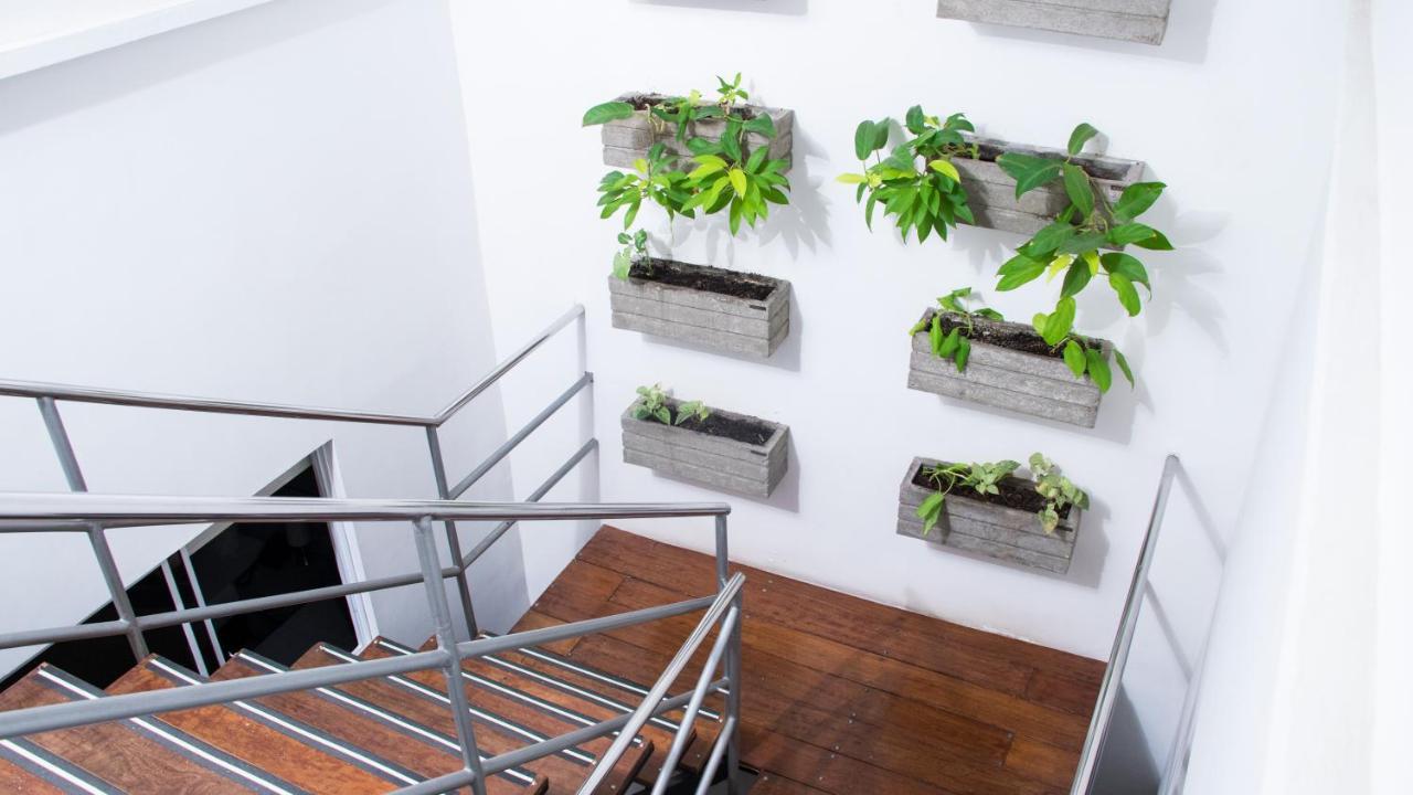 Blh Business Loft Hotel Bucaramanga Eksteriør bilde